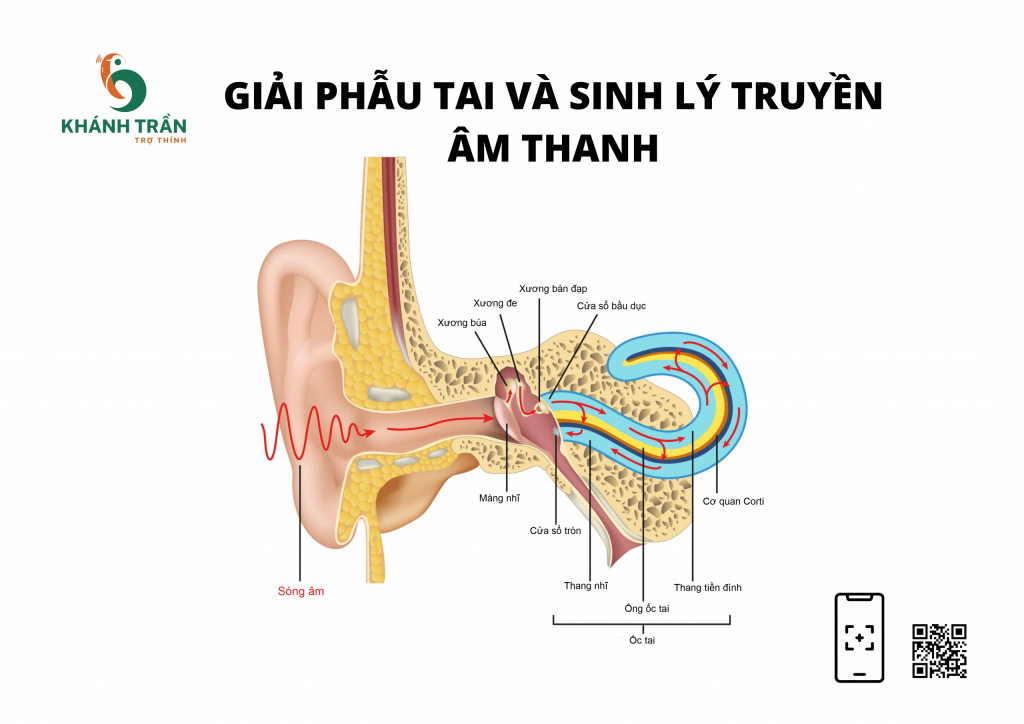 Tai nghe không chỉ có tác dụng giúp nghe nhạc, mà còn ảnh hưởng trực tiếp đến sức khỏe của người sử dụng. Tìm hiểu về sinh lý tai nghe sẽ giúp bạn lựa chọn được những sản phẩm phù hợp và mang lại trải nghiệm âm thanh tốt nhất. Xem hình ảnh liên quan để khám phá thêm về sức khỏe của tai nghe.