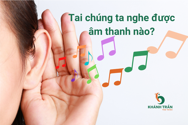 Tai chúng ta nghe được những âm thanh nào? - TRỢ THÍNH KHÁNH TRẦN