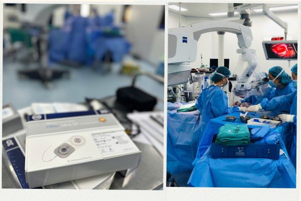 cay-ghep-oc-tai-dien-tu